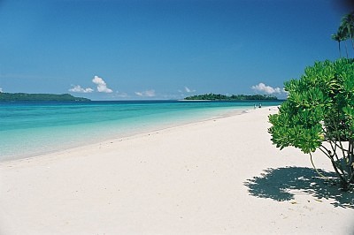 Diving Bunaken