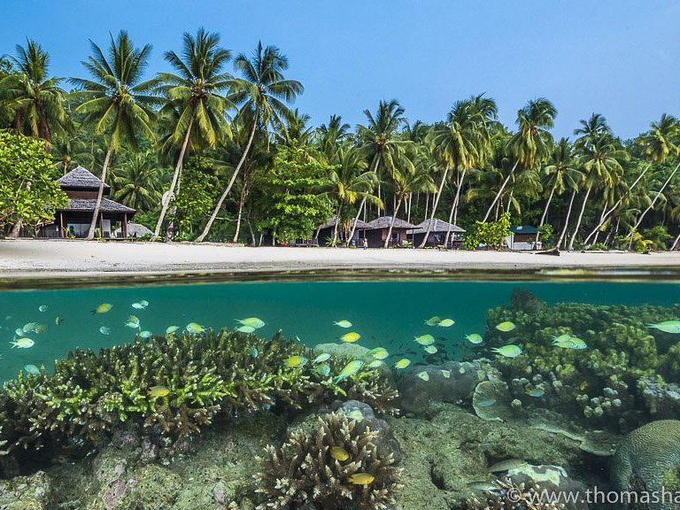 Triton Bay Divers