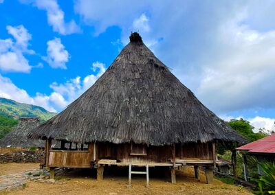 Traditional House